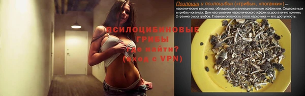 ALPHA PVP Богородск