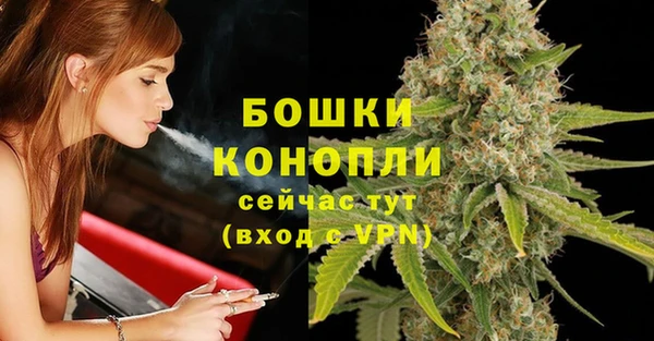 бутират Богородицк