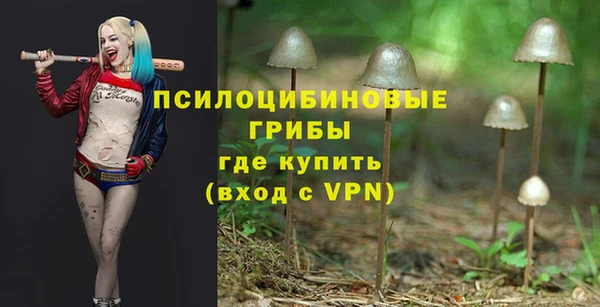 ALPHA PVP Богородск
