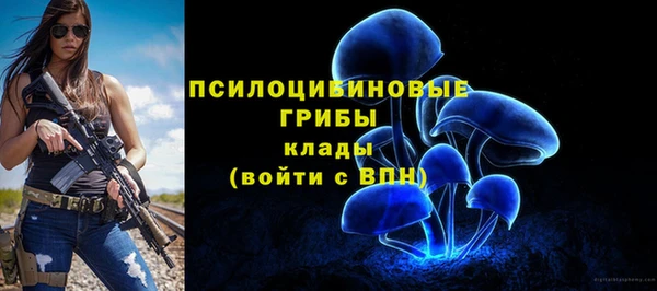бутират Богородицк