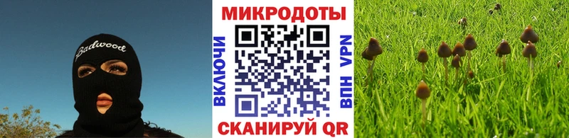 сколько стоит  Хабаровск  ОМГ ОМГ ТОР  Псилоцибиновые грибы Psilocybine cubensis 